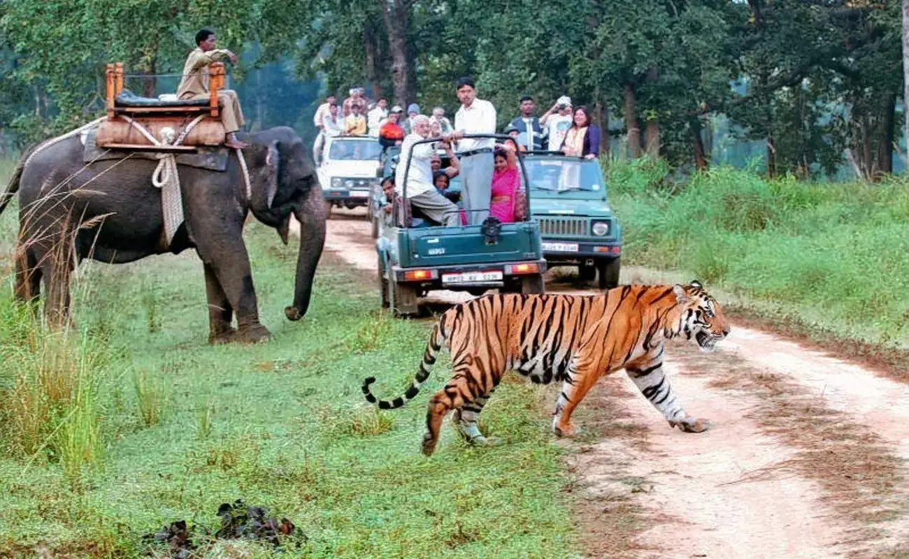 Jeep safari in Jim Corbett National Park with wildlife viewing